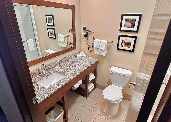 Baymont By Wyndham North Hotel 4*